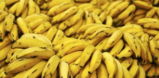 Gelados pequenos, rápidos e bons: de Banana