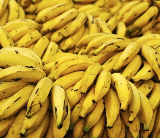 Gelados pequenos, rápidos e bons: de Banana